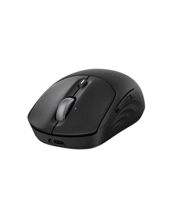 Souris HP 705 Rechargeable Wireless