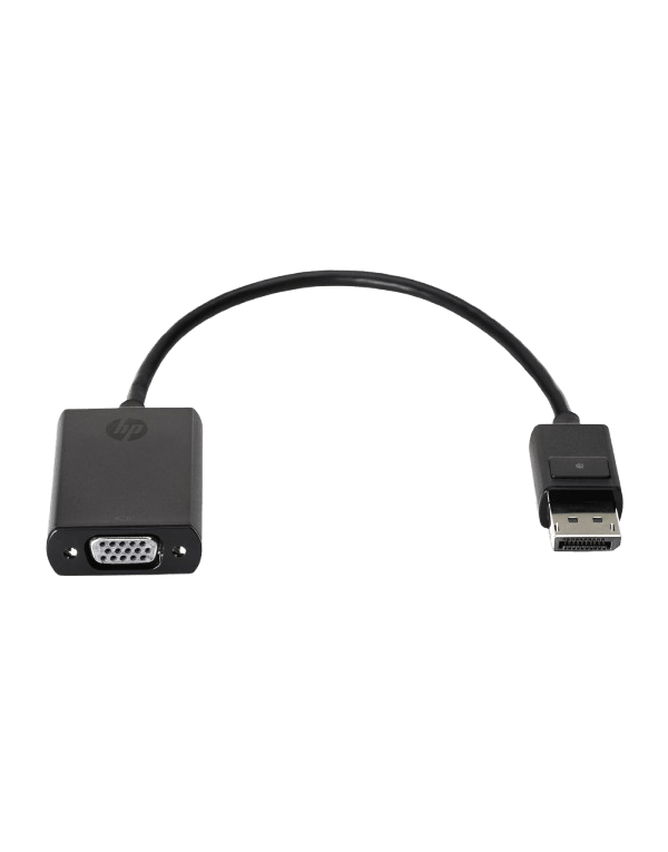 Convertisseur vidéo HP 