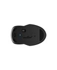 HP 255 - souris - 2.4 GHz, Bluetooth