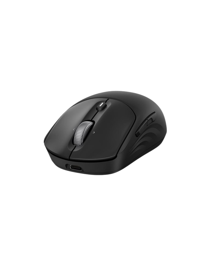 Souris HP 705 Rechargeable Wireless