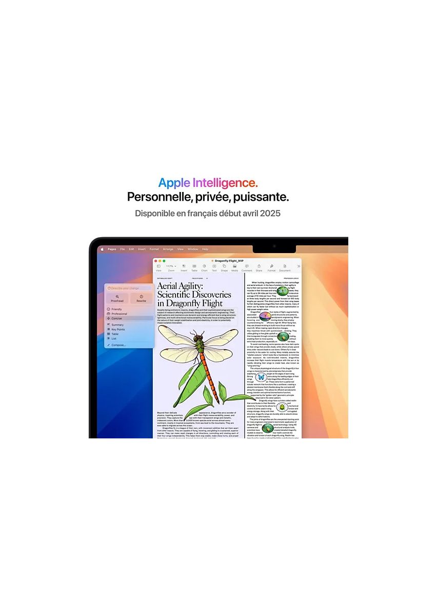 MacBook Air 13 pouces