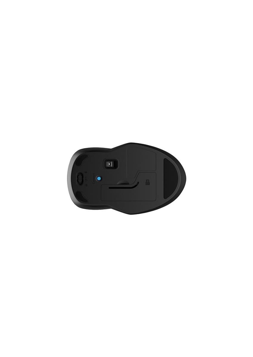 HP 255 - souris - 2.4 GHz, Bluetooth