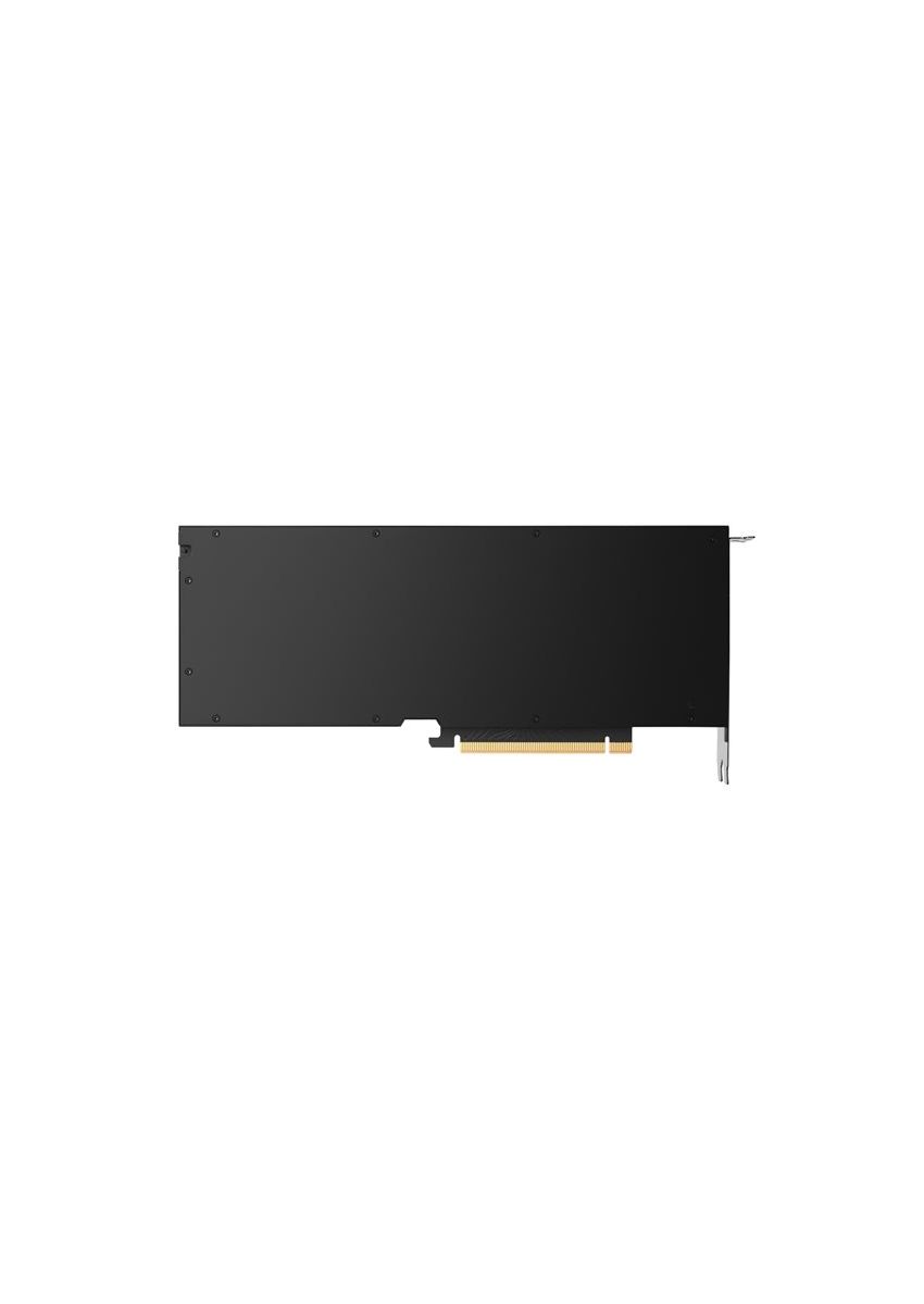NVIDIA RTX - carte graphique - RTX 4500 Ada - 24 Go
