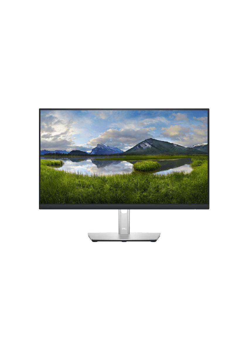 Location Dell P2422H