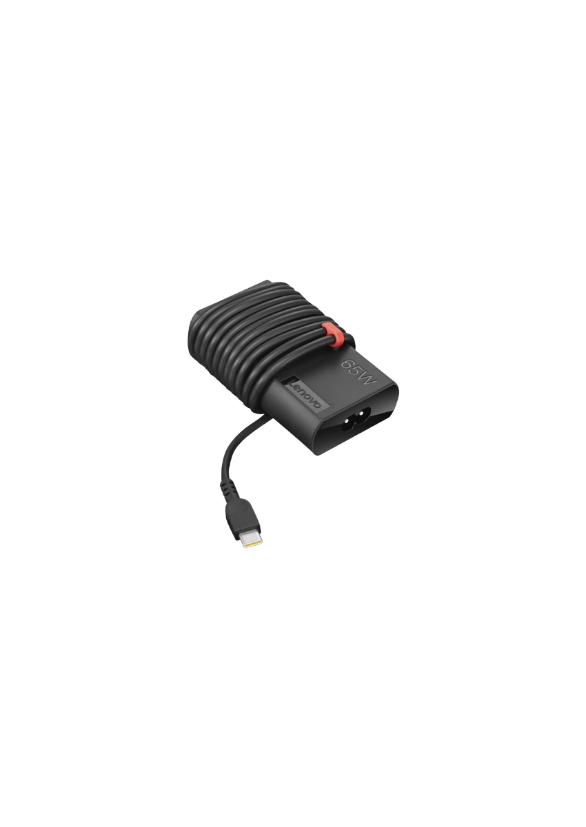 Adaptateur secteur Thinkpad 65W 